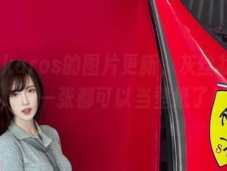 腐团儿Ikaros的图片更新，灰丝状态满分，每一张都可以当壁纸了！